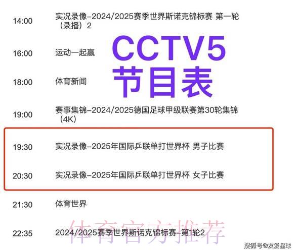 哪些电视频道能够播出世界杯直播赛事